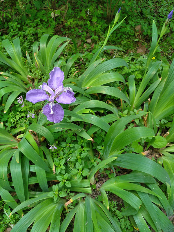 港典宝典